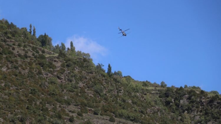 The communes of Andorra will treat a thousand hectares to control the pine processionary