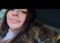 Animalists are asking for objective criteria before evicting a tenant for having a dog