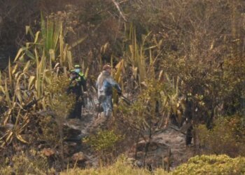 Fire in Villa de Leyva: Boyacá Government delivers official balance of the emergency; This is how the work progresses