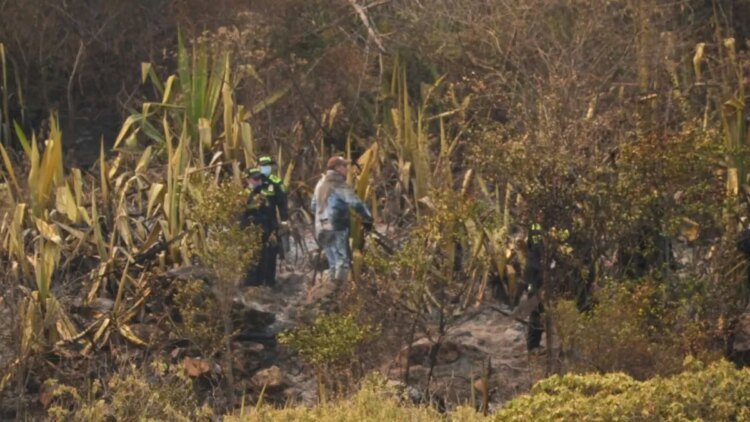 Fire in Villa de Leyva: Boyacá Government delivers official balance of the emergency; This is how the work progresses