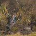 Fire in Villa de Leyva: Boyacá Government delivers official balance of the emergency; This is how the work progresses