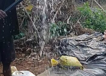 El Niño puts growing pressure on rural farmers and water supplies