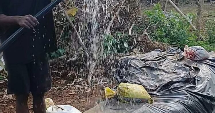 El Niño puts growing pressure on rural farmers and water supplies