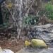 El Niño puts growing pressure on rural farmers and water supplies