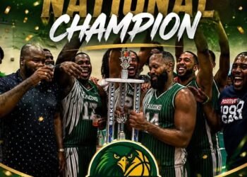 Falcons soar to 2026 DABA Premier Division Championship