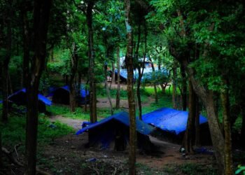 Tribal people from hamlet in Keralam’s Malappuram live in makeshift sheds seven years after flood