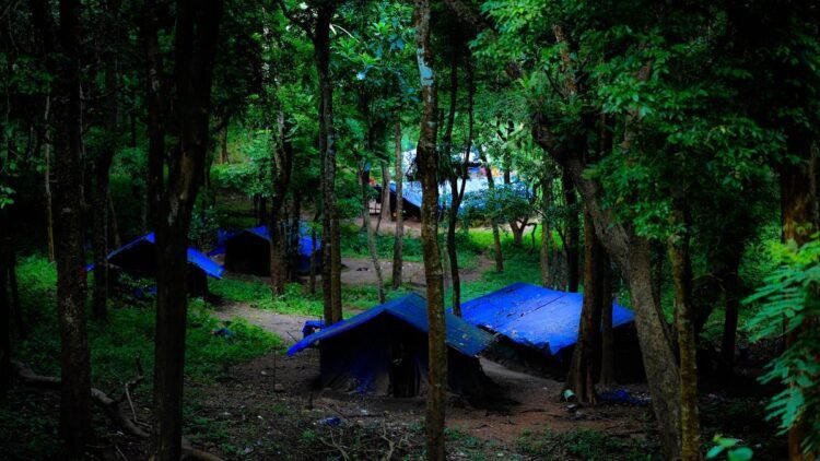 Tribal people from hamlet in Keralam’s Malappuram live in makeshift sheds seven years after flood
