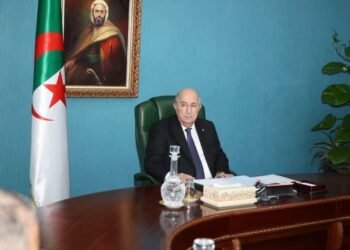 Putting the final touches to bring the “single window” into service – Al-Shorouk Online