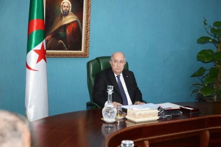 Putting the final touches to bring the “single window” into service – Al-Shorouk Online
