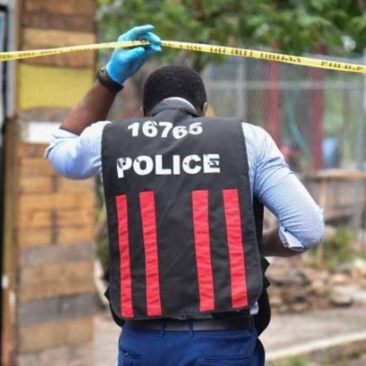 Fatal police shooting in Bog Walk | News