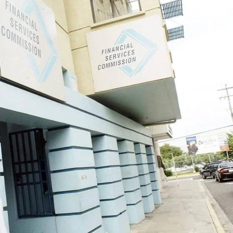 Insurers, dealers face recovery-plan rules as FSC consultation closes | Business