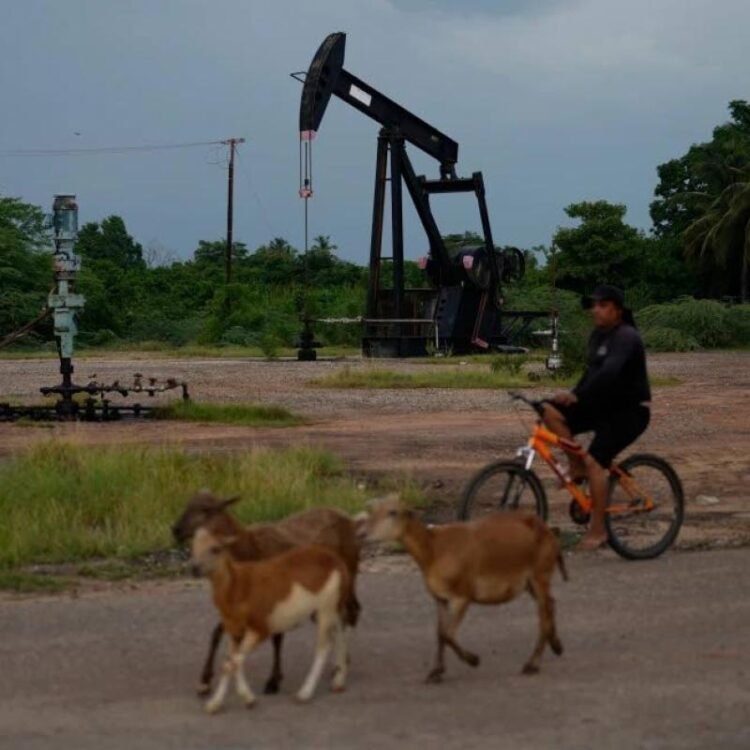 Chevron expected to announce expansion operations in Venezuela, US official says | Business