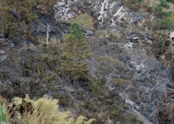 JACRA urges farmers to exercise caution as dry conditions increase risk of bush fires | News