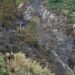 JACRA urges farmers to exercise caution as dry conditions increase risk of bush fires | News