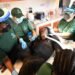 Chimpanzees once used for vaccine research get health checks as part of long-term care | World News