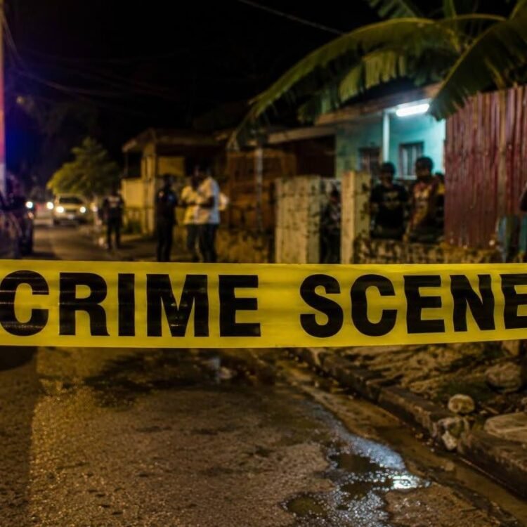 Three men shot and killed at bar in Robin’s Bay, St Mary | News