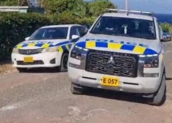 Shock, grief in wake of Robins Bay triple murder | News