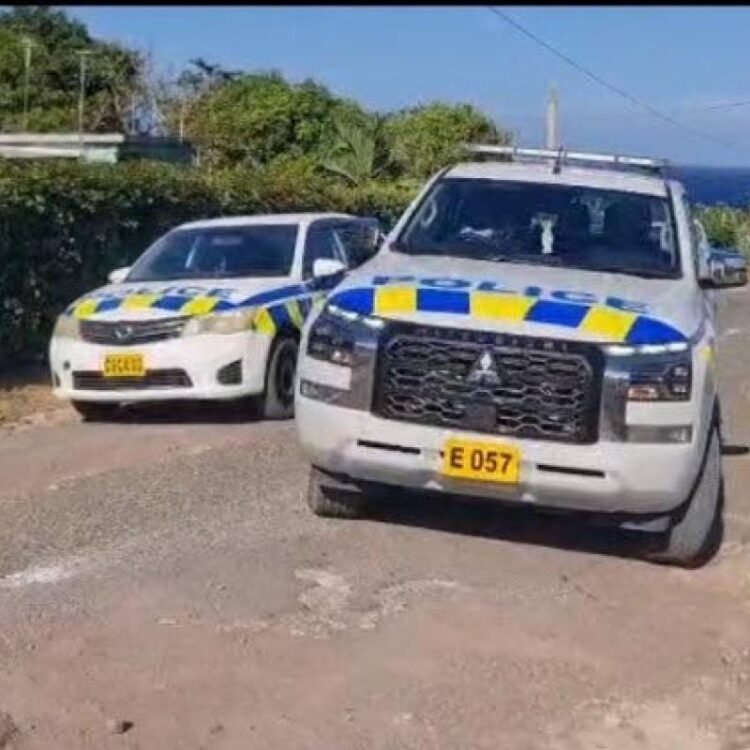 Shock, grief in wake of Robins Bay triple murder | News