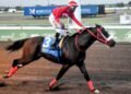 DaCosta’s Pepper Stepper upsets applecart | Sports