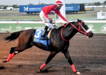 DaCosta’s Pepper Stepper upsets applecart | Sports