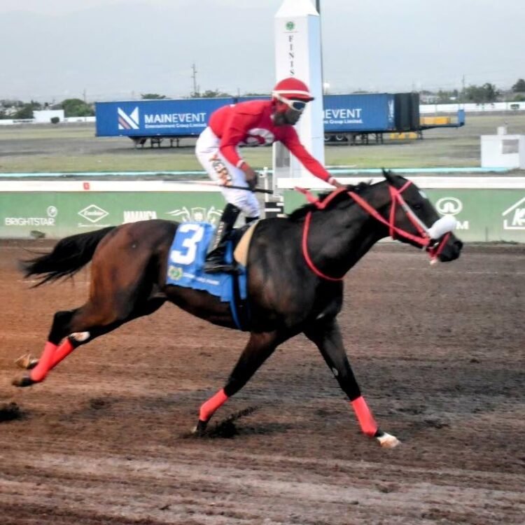 DaCosta’s Pepper Stepper upsets applecart | Sports