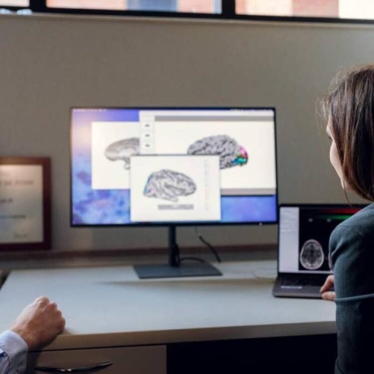 A new brain map could help personalise epilepsy treatment | Health