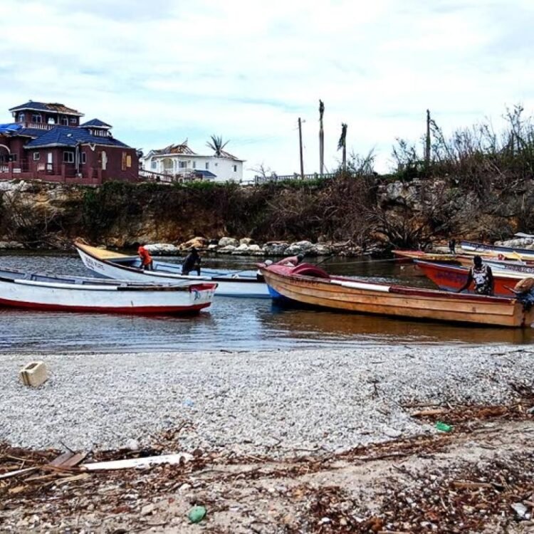 Caribbean countries launch multi-million-dollar project to strengthen climate resilience | World News