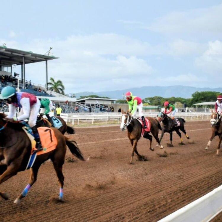 Hail The Queen upstages I Dream Again | Sports