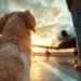 Cayman Islands revises pet import rules | World News