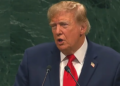 Freedom, sovereignty, and climate action