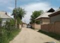 Turmush: Es-uchun zhogotkon zhene, үydon inisin olturmok bolgon kishi: Al 8 zhylga kamaldy
