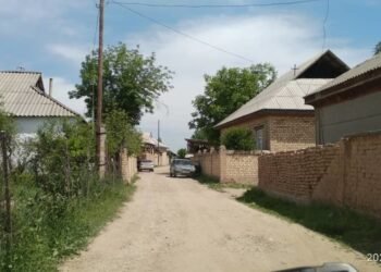 Turmush: Es-uchun zhogotkon zhene, үydon inisin olturmok bolgon kishi: Al 8 zhylga kamaldy