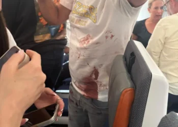 Pilot stabs co-pilot as Israel-bound plane plunges 5000m, passengers storm cockpit
