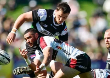 France-bound winger’s try gives North Harbour the lead over Hawke’s Bay
