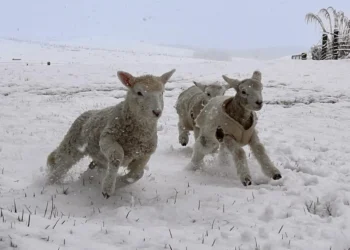 Flooding and snow hit South Island highways as cold snap arrives