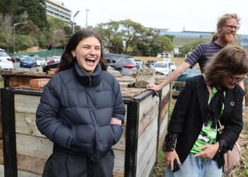‘We’ll need portfolios’: Swarbrick lays down Greens’ demands after record poll result