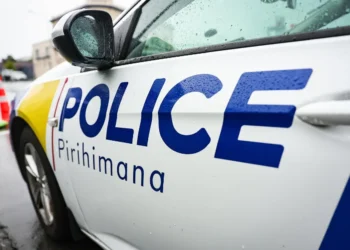 Police seek teenage boy after child assaulted at Porirua school playground