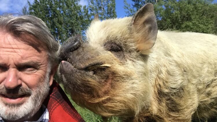 Stuff checks in on Sam Neill’s farm animals (including Kirsten Dunst, Jason Momoa and Jeff Goldblum)
