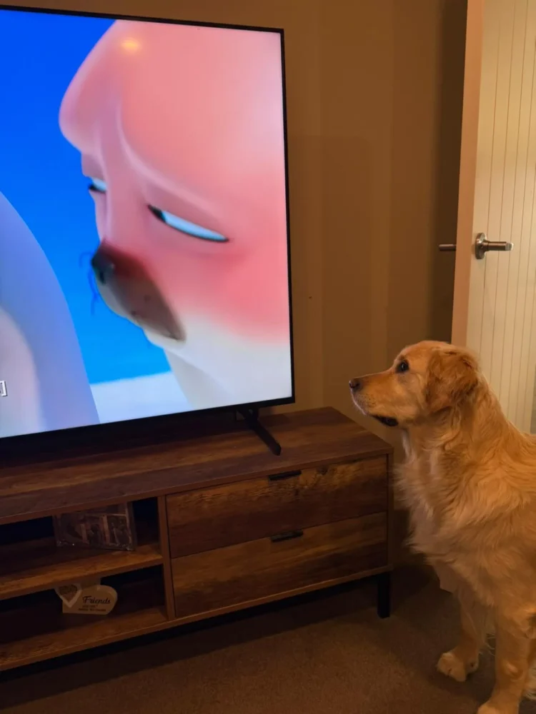 The cartoon that’s turning cats and dogs into Netflix binge watchers
