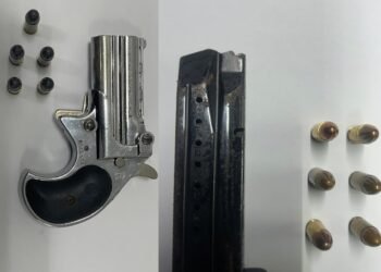TTPS seizes firearm and ammunition in separate exercises