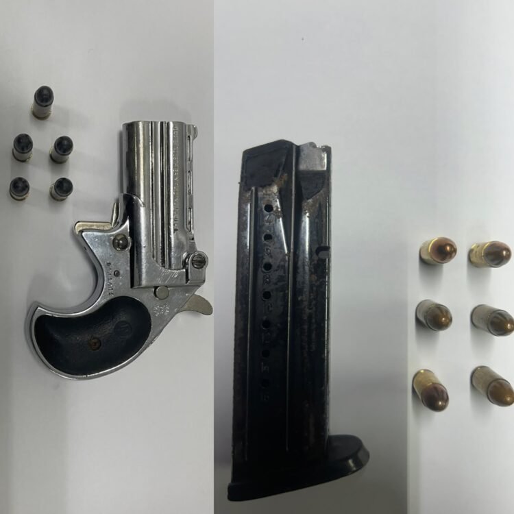 TTPS seizes firearm and ammunition in separate exercises