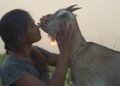‘Village Rockstars 2’ movie review: Rima Das returns with a psalm of resistance