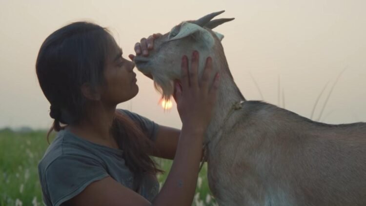 ‘Village Rockstars 2’ movie review: Rima Das returns with a psalm of resistance