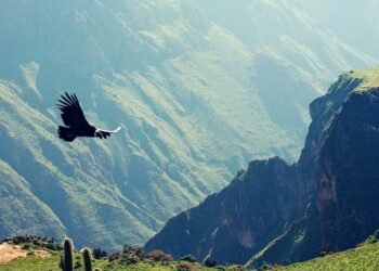 Arequipa is preparing a tourism project for S/337 million that includes 33 investments