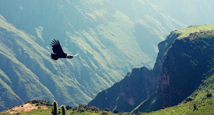 Arequipa is preparing a tourism project for S/337 million that includes 33 investments