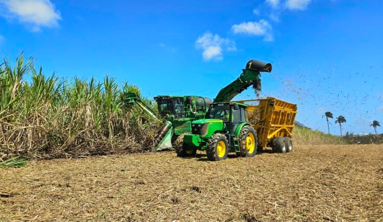 Sugar arrangement in limbo – Barbados Today