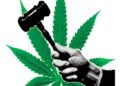 Canouan chef fined for possession of marijuana