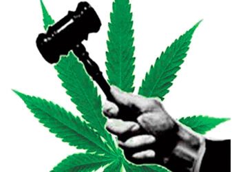 Canouan chef fined for possession of marijuana