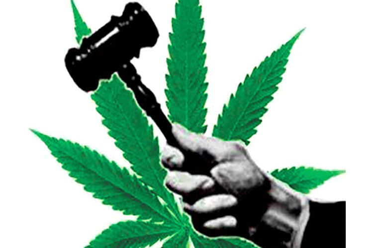 Canouan chef fined for possession of marijuana