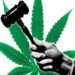 Canouan chef fined for possession of marijuana